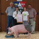Reserve Champion Swine - Morgan Morell; Buyer - Lindsey Construction and James & Delane Morell