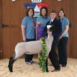 Grand Champion Lamb - Dillon Anders; Buyer - Spring Stampede