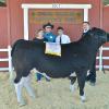 Reserve Champion Steer - Anthony Ollis CWFFA; Buyer - Terry Gibson