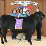 Grand Champion Steer - Dustin Hovanec; Buyer - Spring Stampede