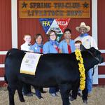 Reserve Champion - Logan Hollenbeck; Buyer - Spring Stampede