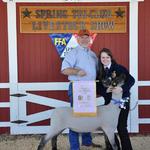 Reserve Champion Lamb - Dakota Vaughan; Buyer - Spring Carpet