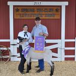 Grand Champion Lamb - Morgan Steinecke; Buyer - Spring Carpets