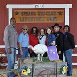 Grand Champion Turkey - Taylor Lucas; Buyer - Spring Stampede