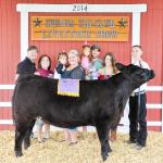 Grand Champion Heifer - Caleb Harris