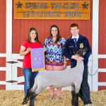 Grand Champion Lamb - Aaron Cook; Buyer - Sharpton Show Lambs