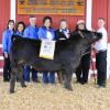 Reserve Champion Steer - Caleb Harris; Buyer - Spring Stampede