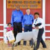 Reserve Champion Lamb - Leecia White; Buyer - Spring Stampede