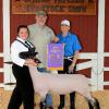 Grand Champion Lamb - Aislynn Schouten; Buyer - Spring Carpets