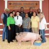 Reserve Champion Swine - Clayton Lockwood; Buyer - Spring Stampede