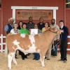 Reserve Champion Steer - Bailey Cresswell; Buyer - Spring Stampede