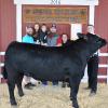 Reserve Champion Steer - Caleb Harris SFFA; Buyer - Harris County Farms
