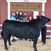 Reserve Champion Steer - Caleb Harris SFFA; Buyer - Harris County Farms
