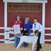 Reserve Champion Goat - Kyla Viereck 4-H; Buyer - Debbie Dixon
