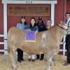 Grand Champion Steer - Kyle Williams SFFA; Buyer - Spring Stampede