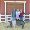 Grand Champion Swine - Sydney Howland SFFA; Buyer - LNP Properties