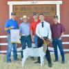 Reserve Champion Goat - Caleb Harris SFFA; Buyer - Phoenix Insulation