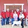 Grand Champion Goat - Kyla Viereck SFFA; Buyer - Dirty Dozen Buyers Group