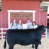 Reserve Champion Steer - Erika Uribe DFFA; Buyer - Black Sheep