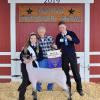 Grand Champion Lamb - Jasmine Moynahan SFFA; Buyer - Cheyenne Homes