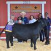 Grand Champion Steer - Zechariah Rickett DFFA; Buyer - Spring Stampede