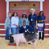 Grand Champion Swine - Martez Lewis WFFA; Buyer - Spring Stampede