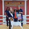 Reserve Champion Goat - Kiersten Taylor CWFFA; Buyer - Spring Stampede