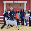 Reserve Champion Lamb - Nicholas Blackburn SFFA; Buyer - Spring Stampede