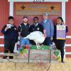 Reserve Champion Turkey - Zechariah Rickett DFFA; Buyer - Bracewell LLP/Steve Gerdes