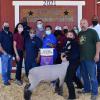 Grand Champion Lamb - Trinity Ellis SFFA; Buyer - Spring Stampede