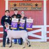 2022 Grand Lamb - Jacob Lara, WFFA; Buyer - Spring Carpets