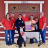 2023 Reserve Lamb - Alexia Tijerina, Spring FFA; Buyer - Dirty Dozen Buyers Group