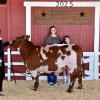 2025 Reserve Steer - Jordan Harrold, CWFFA; Buyer - Northwest Animal Hospital