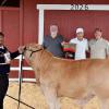 2026 Reserve Steer - Jordan Harrold, CWFFA; Buyer - Applied Finish Systems